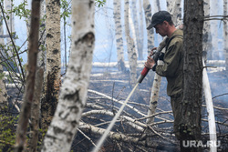 Тушение торфяного пожара возле поселка Безречный. Свердловская область, Березовский, авиалесоохрана