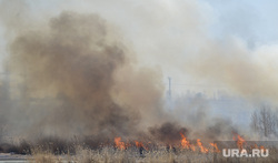 Учения МЧС по тушению ландшафтных пожаров в Троицком районе. Челябинск, дым, пожар, гарь, огонь, лесной пожар, пламя, ландшафтный пожар