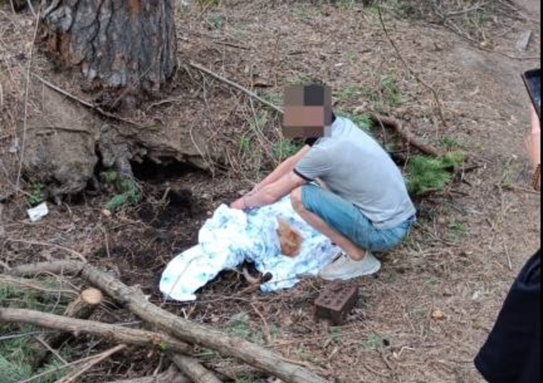 Мужчина захоронил собаку в лесополосе