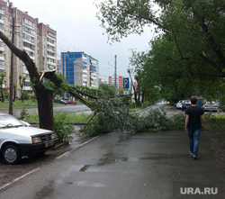 Ураган и ливень в Челябинске, 06.06.2014, сломанное дерево