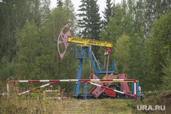 Нефтяное месторождение компании Лукойл. Красновишерский район, Пермский край, лукойл, качалка, нефть, нефтяное месторождение, цднг 11, поселок романово, красновишерский район, нефтепромысел