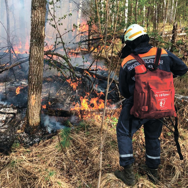 Пожар в особо охраняемой природной зоне начался 4 маяф