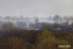 Пожар на шоссе Тюнина. Курган, пожар, лесной, тушение пожара