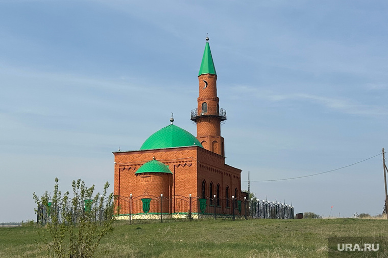 Село Юлдус. Курган