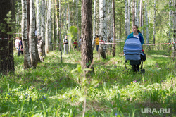 Всероссийский День посадки леса - 2016 в районе жд станции Шувакиш. Екатеринбург, прогулка по парку