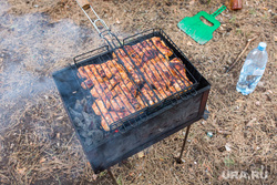 Шашлыки. Тюмень, мангал, шашлыки, отдых