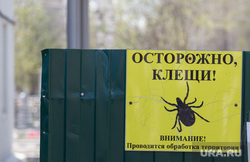 Церемония захоронения останков бойца. Екатеринбург, осторожно клещи