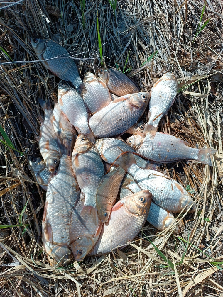 Улов в озере Буторлыга