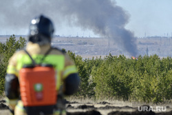 В Тюменской области стало больше лесных пожаров