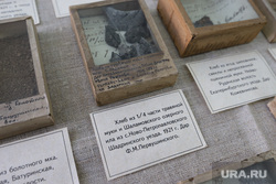Коллекция хлеба 1921г. Краеведческий музей. Шадринск, краеведческий музей, экспонаты, хлеб