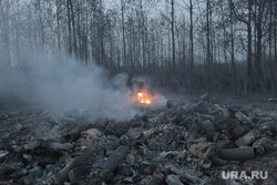 В Тюменской области прогнозируют чрезвычайную степень пожароопасности