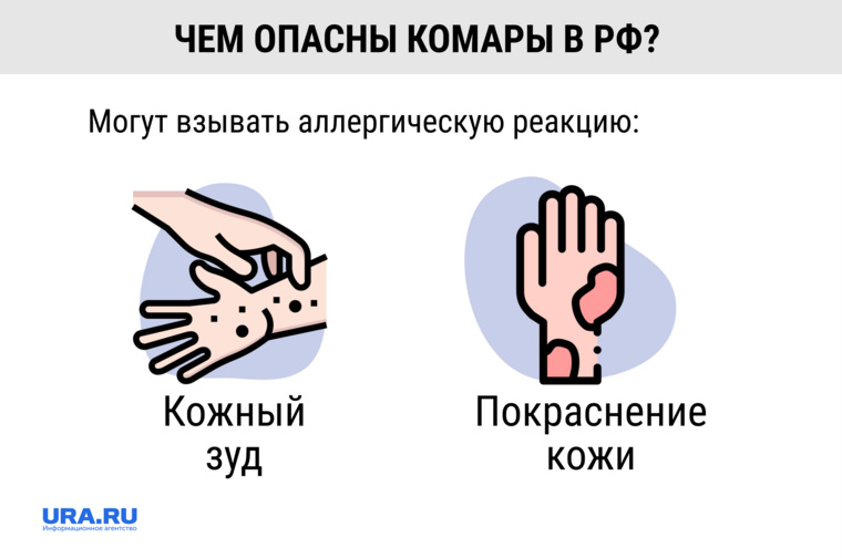 Опасность комаров для человека в РФ