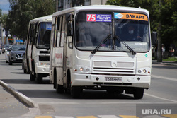 Власти Кургана ввели единый проездной в автобусах. Фото