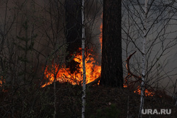 В ХМАО спасатели тушат пожар возле нефтяного месторождения. Фото