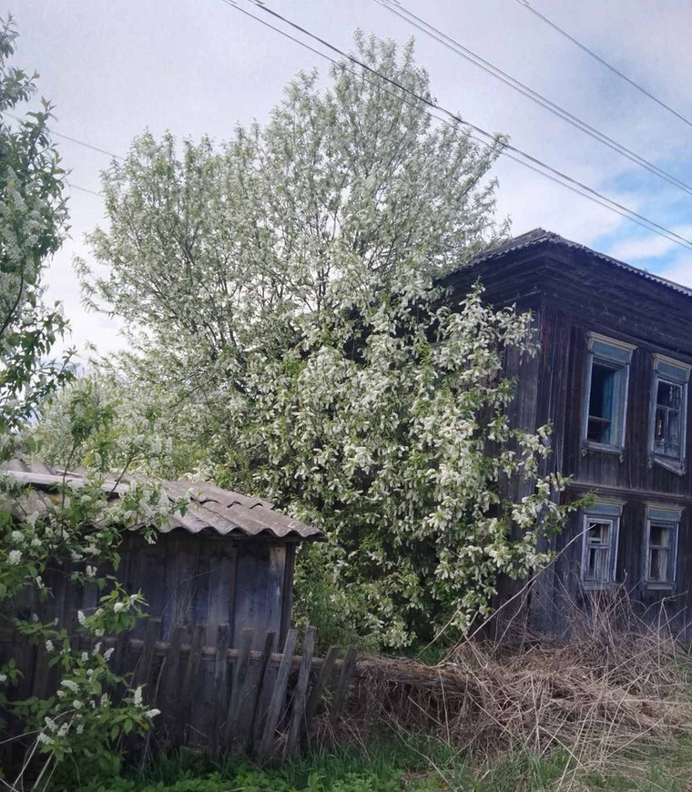 The authorities of the Dobryansky district believe that there are no emergency houses in the village that need to be demolished