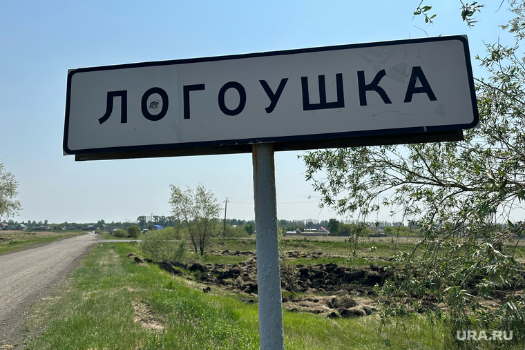 Деревня Логоушка. Курган