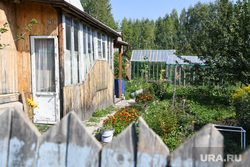 Alexey Orlov in SNT Berezka.  Yekaterinburg, vegetable garden, dacha, country house, garden