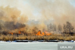 В ХМАО увеличилась площадь лесных пожаров