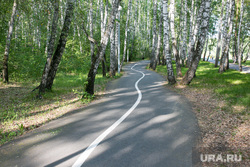 Gilevskaya grove.  Tyumen, walk, park, path, path in the park, walk in the park, gilevskaya grove