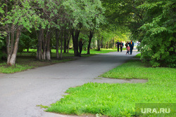 День города.  Курган , горсад, лето, аллея горсада, отсутствие лавочек