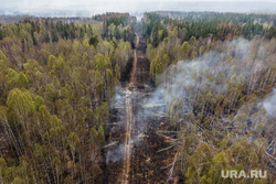 Extinguishing a peat fire near the village of Bezrechny.  Sverdlovsk region, Berezovsky, forest, forest fire, woodland, forest in smoke, peat bogs are burning, peat fire
