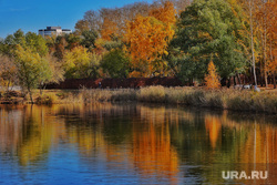 Autumn.  Kurgan, tspkio, bitevka river, nature, autumn, bitevka, autumn in the city