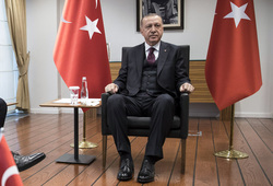 Сторонники Эрдогана заняли большинство мест в парламенте Турции