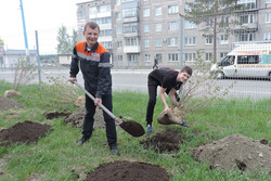 В акции по озеленению участвовали работники «ЕВРАЗ КГОК», представители администрации города, педагоги и школьники