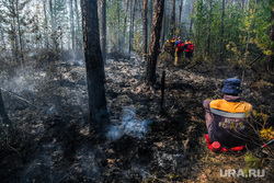 Тушение пожара в лесу на озере Глухое. Екатеринбург, мчс, сгоревший лес, лесной пожар, тушение лесных пожаров, лес в дыму
