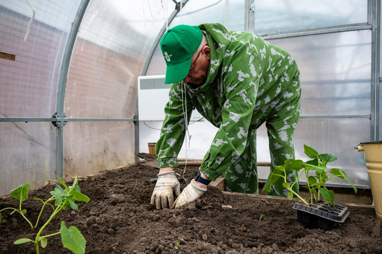 Андрей Кугаевский высадил саженцы тепличных растений