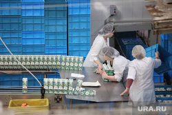 «Известия»: ФАС проверит наценки на молочные продукты в 100-150%