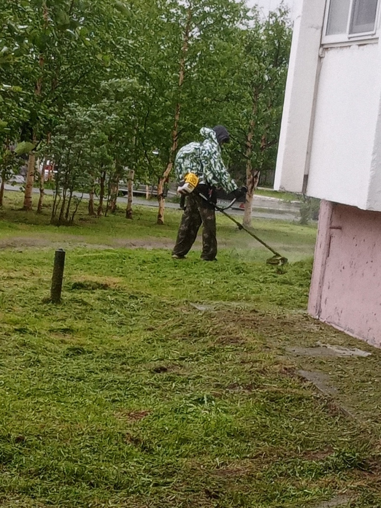 Коммунальщик косит траву