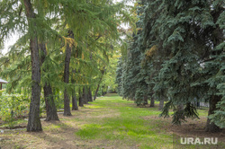 Ботанический сад ПГНИУ. Пермь, ботанический сад, городской парк, опушка леса, редкие растения, лесная лужайка