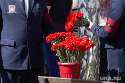 Церемония захоронения останков бойца. Екатеринбург, гвоздики, прощание, цветы, кладбище