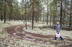 Грибная пора. Чердыньский район, лес, лесная ягода, природа, грибы в лесу, грибники, осень в лесу