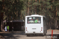 Водоросли на пляже Голубые озера. Курган , автобус, общественный транспорт