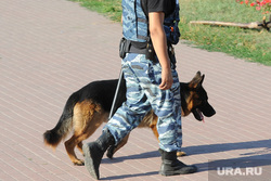 Митинг многодетных Челябинск, собака, кинолог, полиция, кинологическая служба