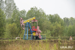 Нефтяное месторождение компании Лукойл. Красновишерский район, Пермский край, лукойл, качалка, нефть, нефтяное месторождение, цднг 11, поселок романово, красновишерский район, нефтепромысел