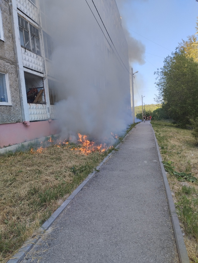 Выброшенная петарда подожгла траву у дома