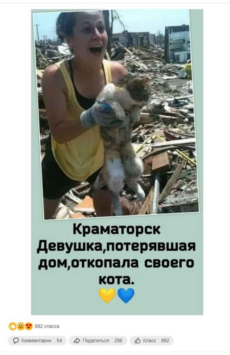 Фото якобы спасения кота в Краматорске