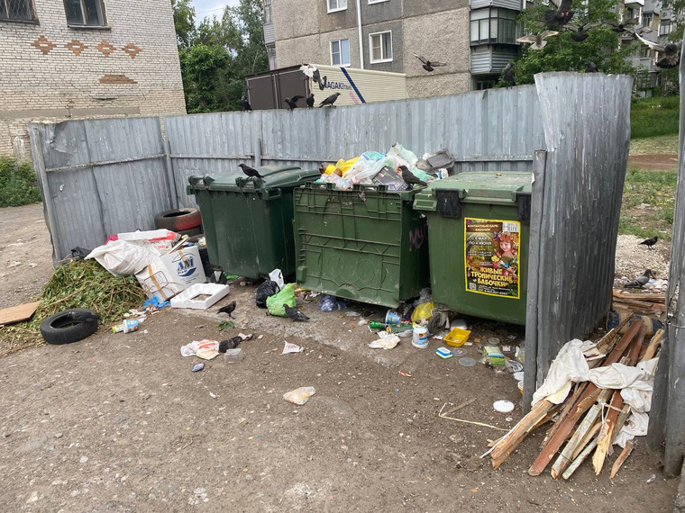 Скопление мусора вокруг контейнеров на улице Сергея Васильева