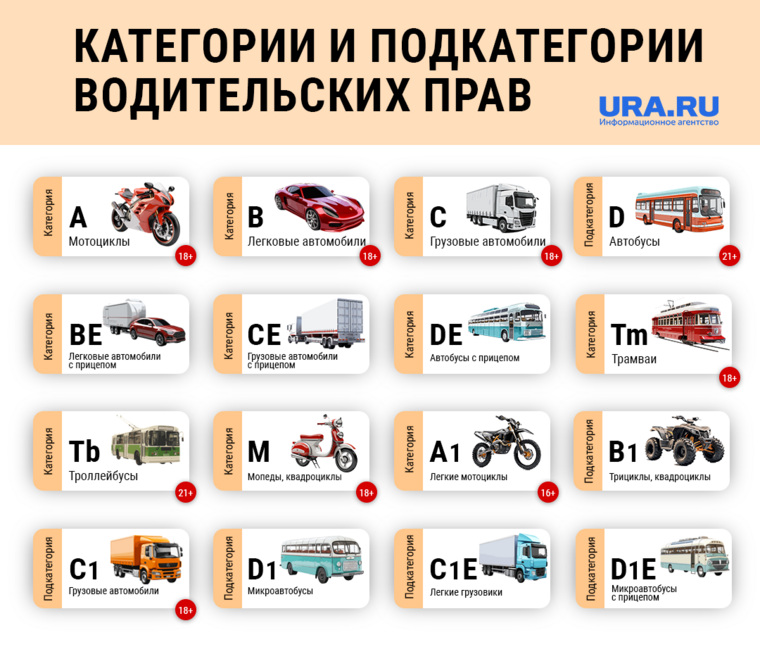 Какие в России есть водительские права 