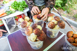 Грибы. Тюмень, грибы, продажа грибов, белые грибы