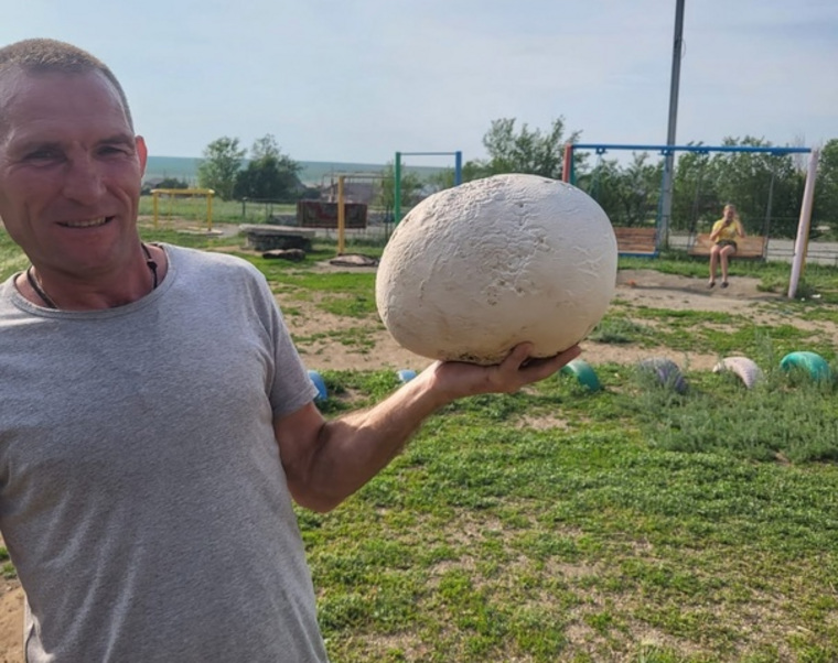 Грибник нашел гигантский гриб возле жилого дома в поселке Вперед