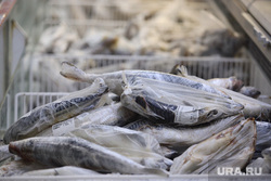 Магазин Метрополис. Курган , торговля, продукты, морепродукты, замороженная рыба, опт, розница, оптовая