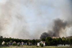 Лесные пожары, клипарт. Екатеринбург, лесной пожар