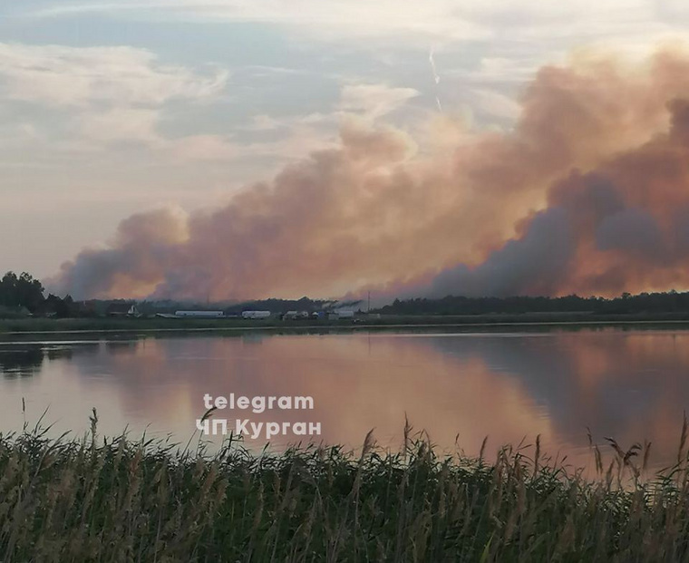 В Варгашинском округе горит лес в близи деревни Лихачи