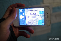 Объявление о заболеваниях кори в подъезде дома по адресу ул. Ольховская, 25/1. Екатеринбург, эпидемия, заболевание, корь