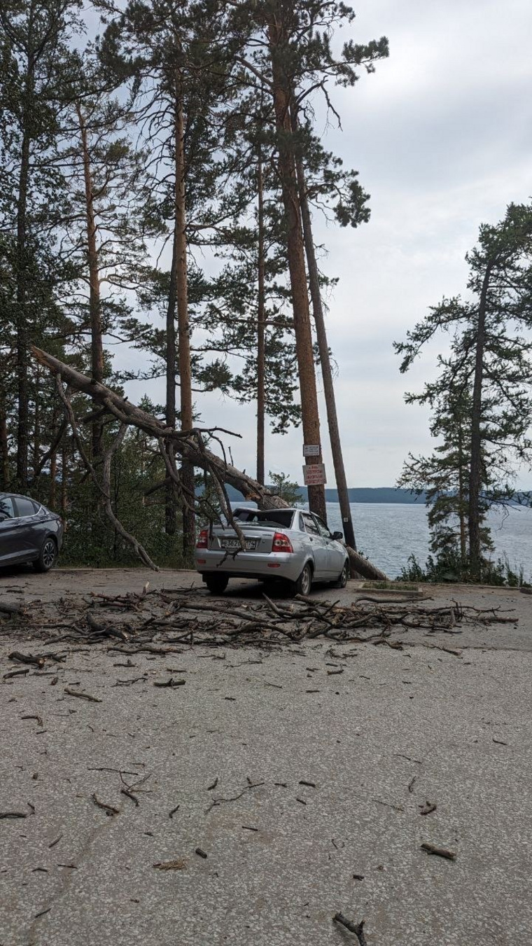 На челябинском озере Тургояк упавшая сосна повредила автомобиль: фото