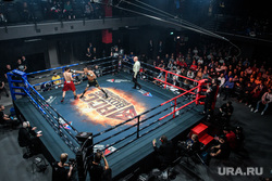 "Вечер звезд" в Академии единоборств РМК. Екатеринбург, бокс, ринг, rcc boxing promotions, якубов мухаммадхуча, рохас томас, rojas tomas